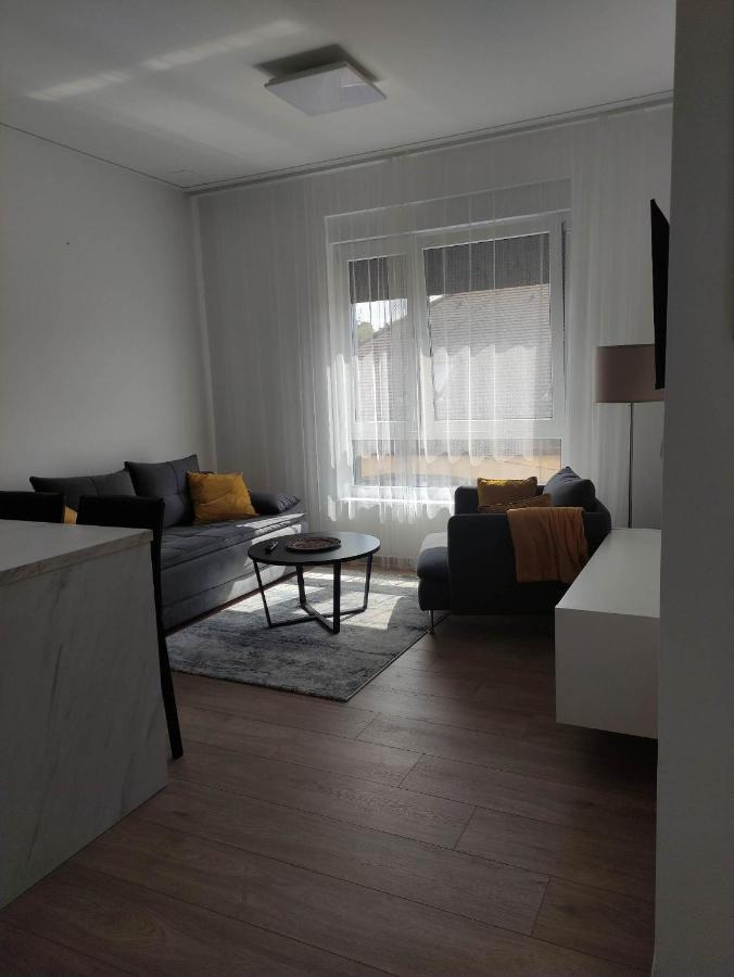 Apartman Waldy 奥西耶克 外观 照片